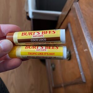 Burt's Bees Sun Care Lip Balm Duo